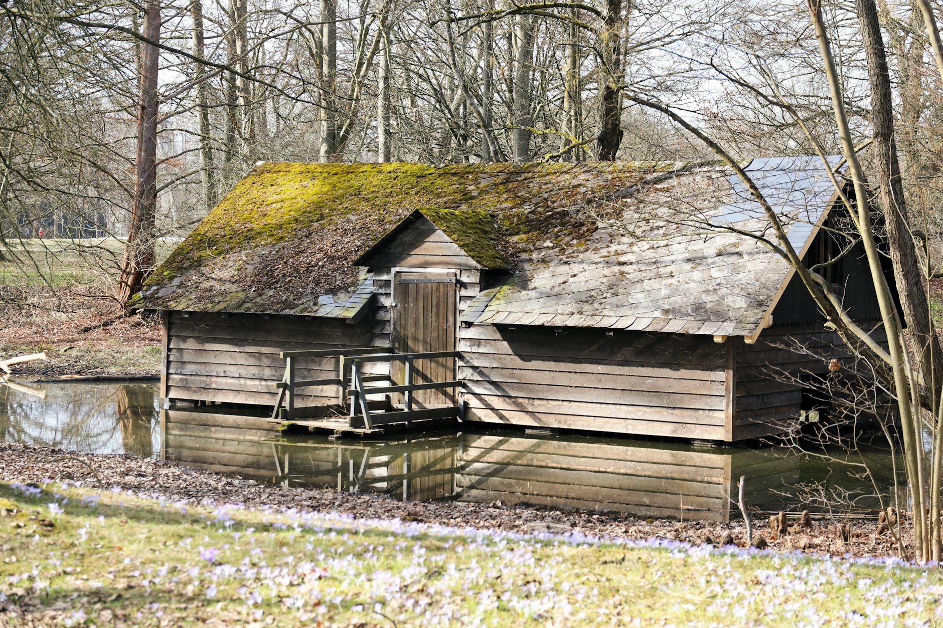 Construire une cabane en bois de A a Z : le guide pratique