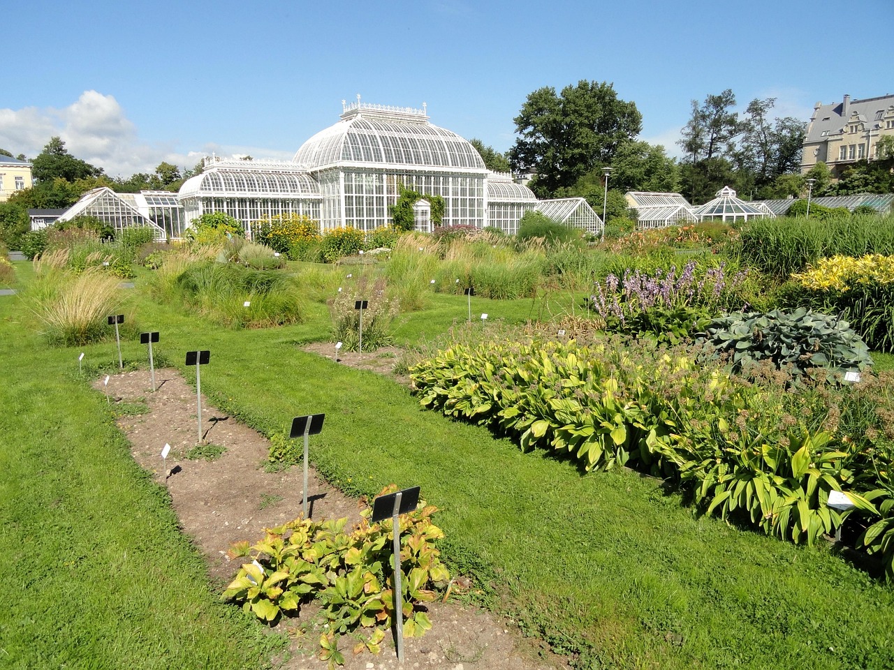 Construire sa serre de jardin : choix des matériaux et étapes de pose