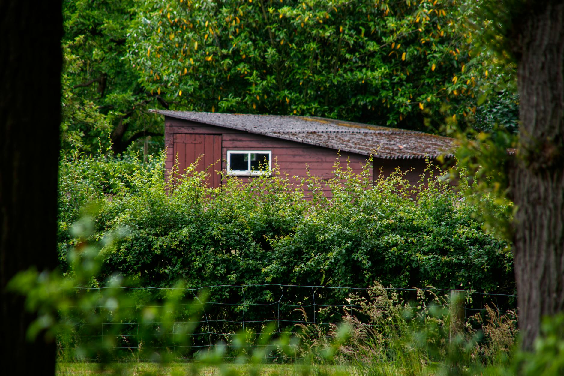 Auto-construire un abri de jardin : du sol à la toiture